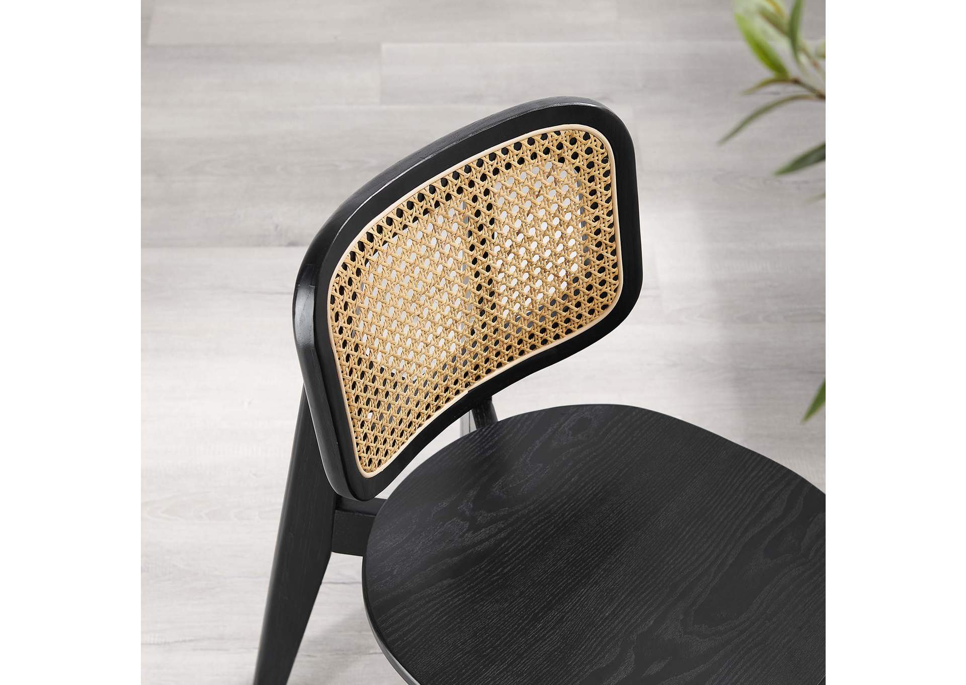 Habitat Wood Dining Side Chair