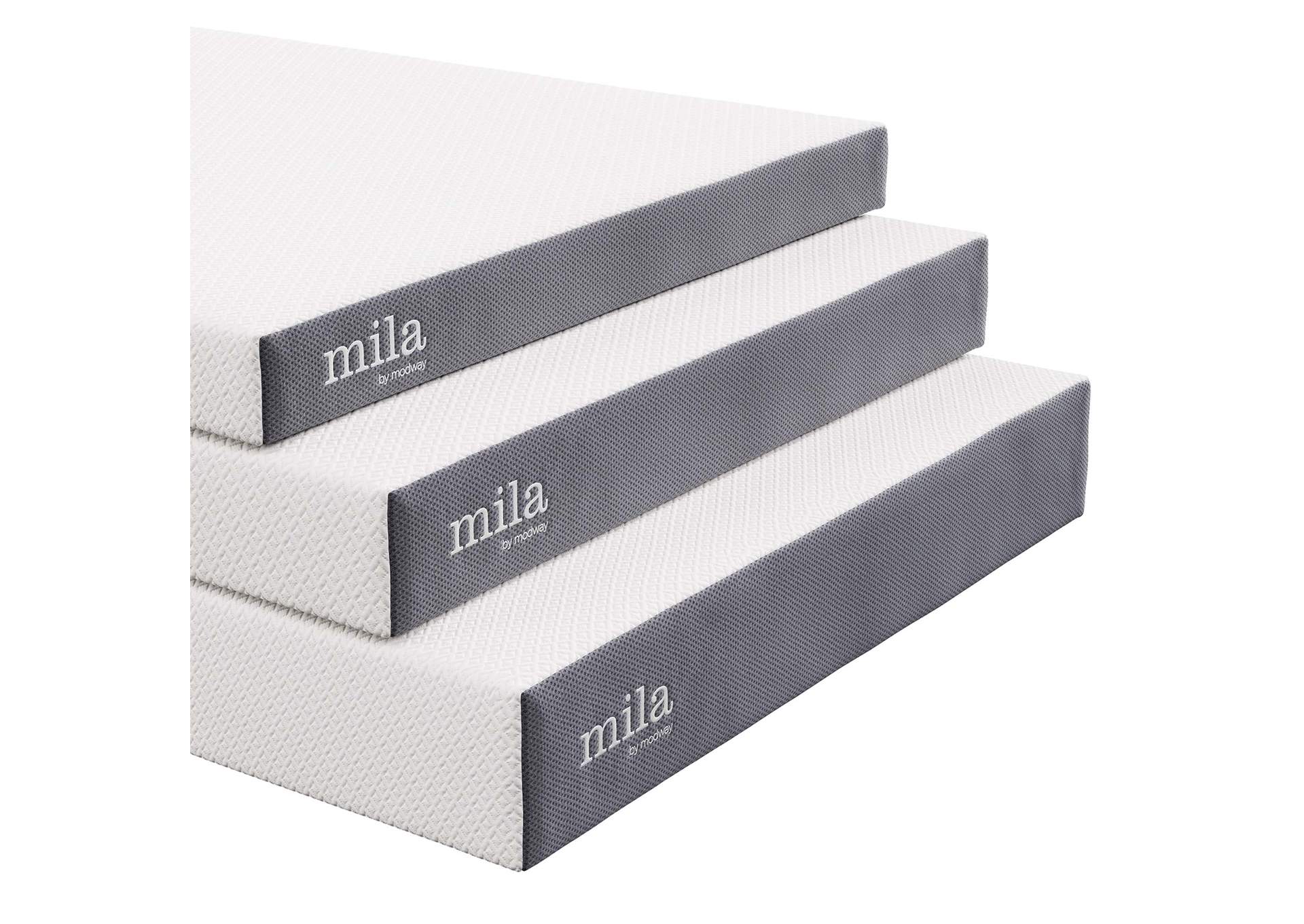 Mila 6