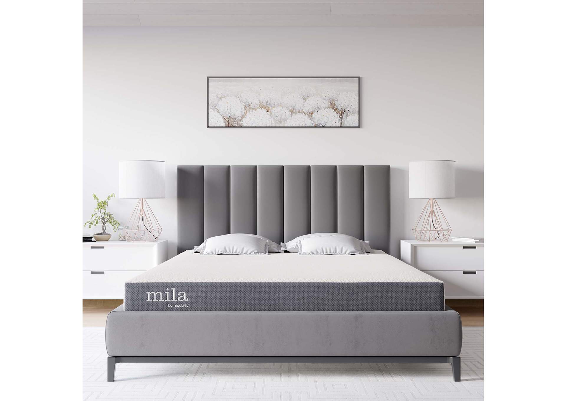 Mila 5 Inch Queen Mattress image 19