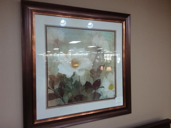 Anemone Print image 1