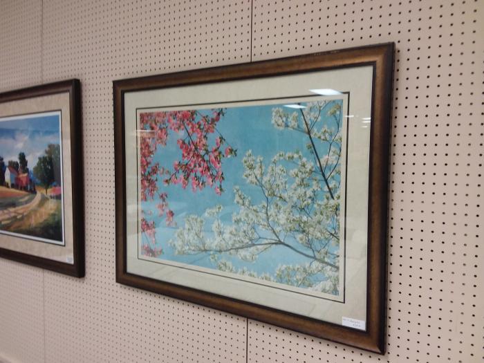 Blooming Tree image 1