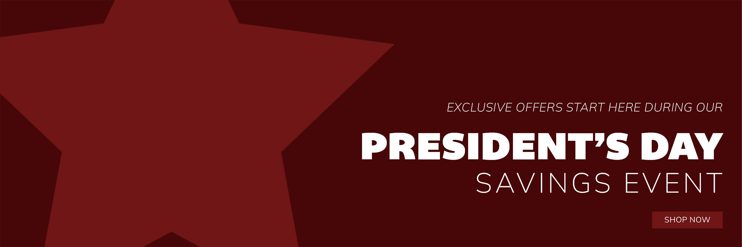 Website Theme Banner