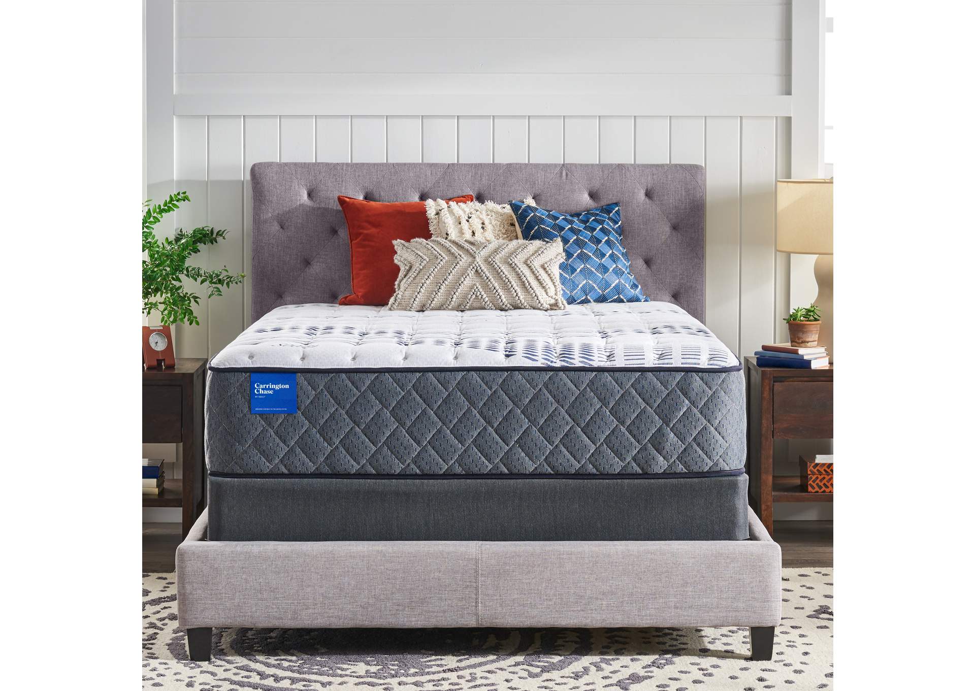 Excellence Faith Twin Long image 1