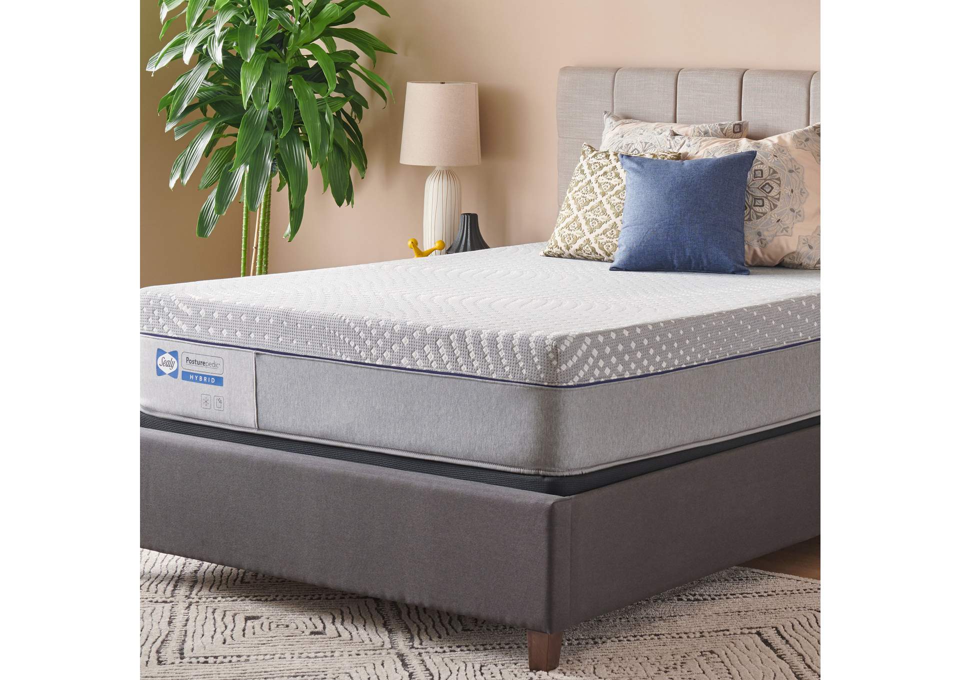 Elsanta Soft Hybrid Cal King image 1