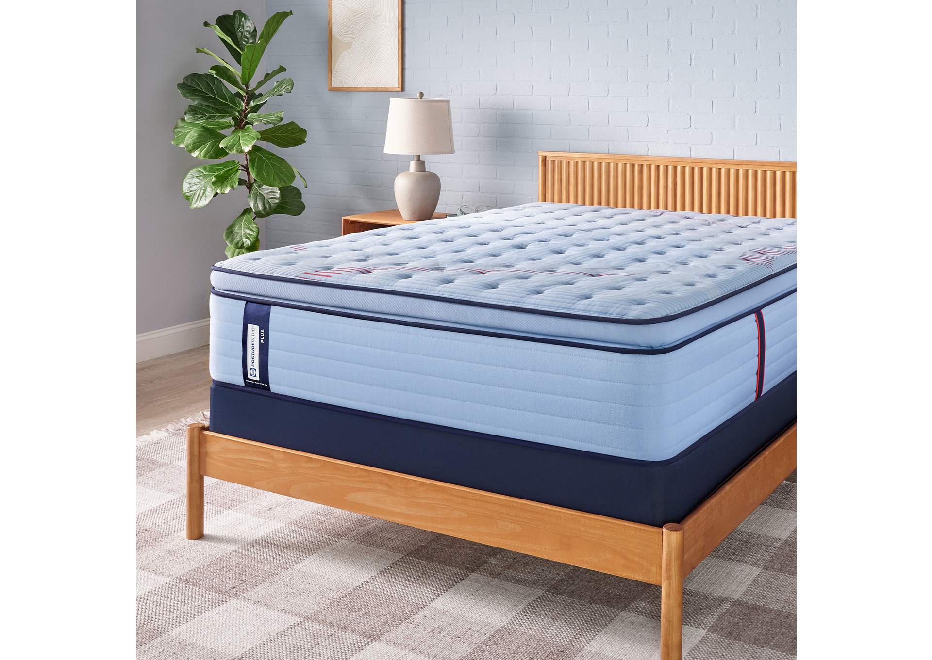 Equus Euro Pillow Top Soft Split Cal King image 1