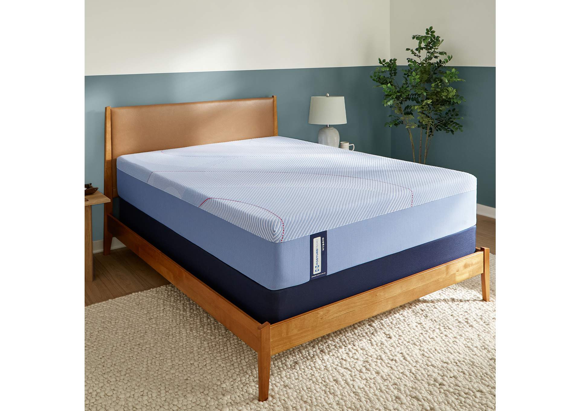Dallas Firm Twin XL image 1
