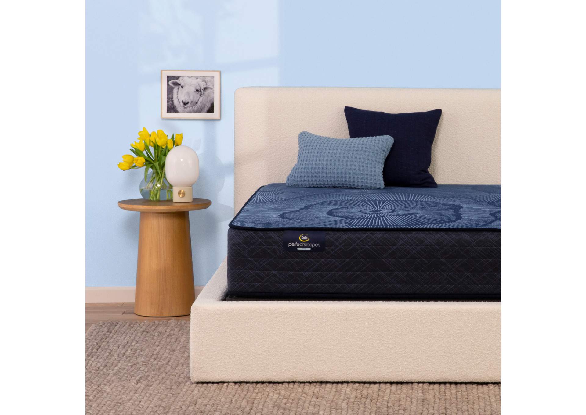 Perfect Sleeper Pacific Peace 12