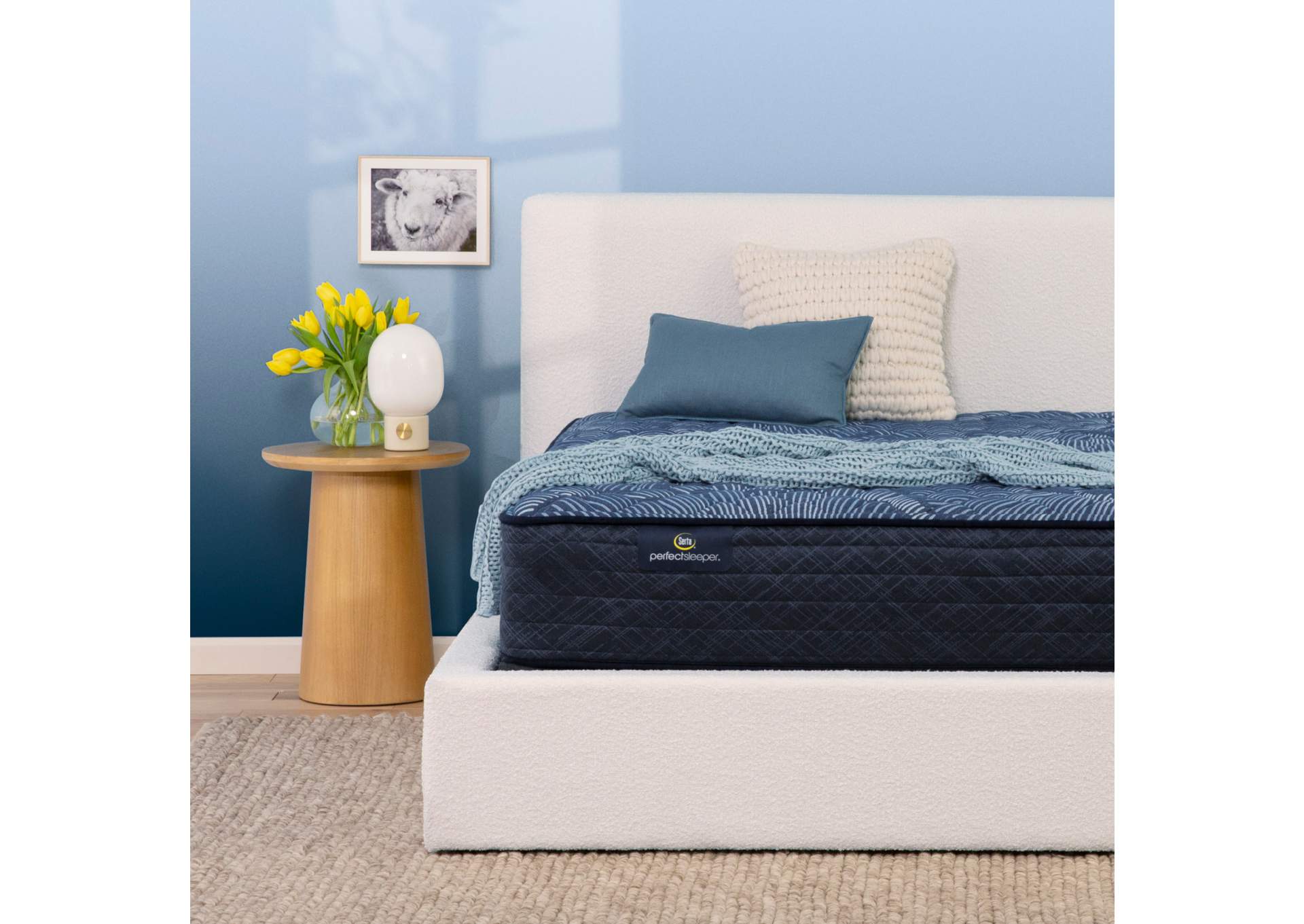 Perfect Sleeper Cobalt Calm 12