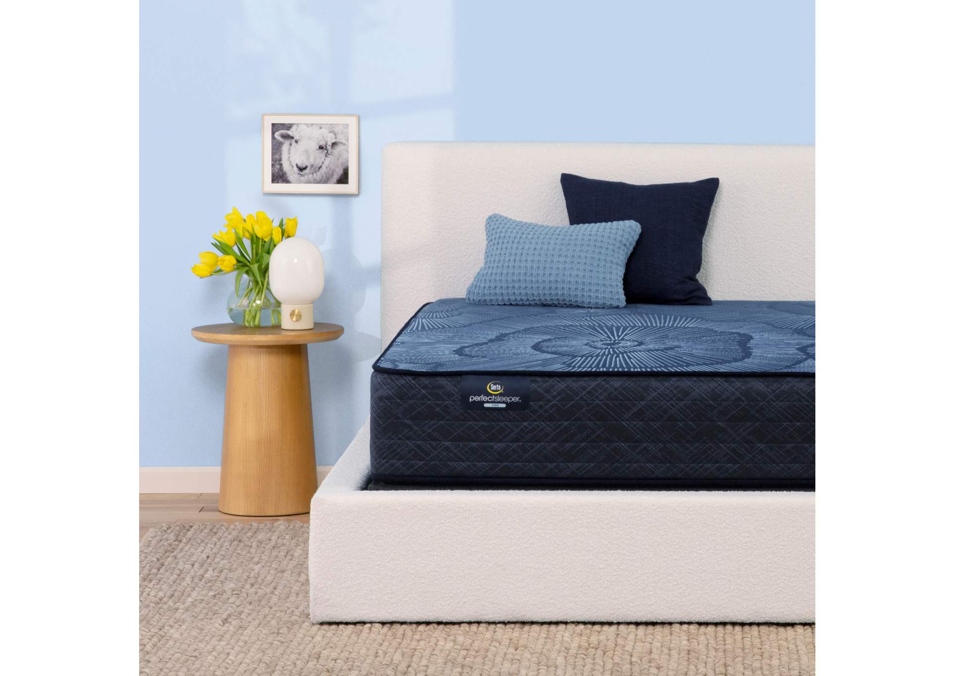 Perfect Sleeper Pacific Peace 12