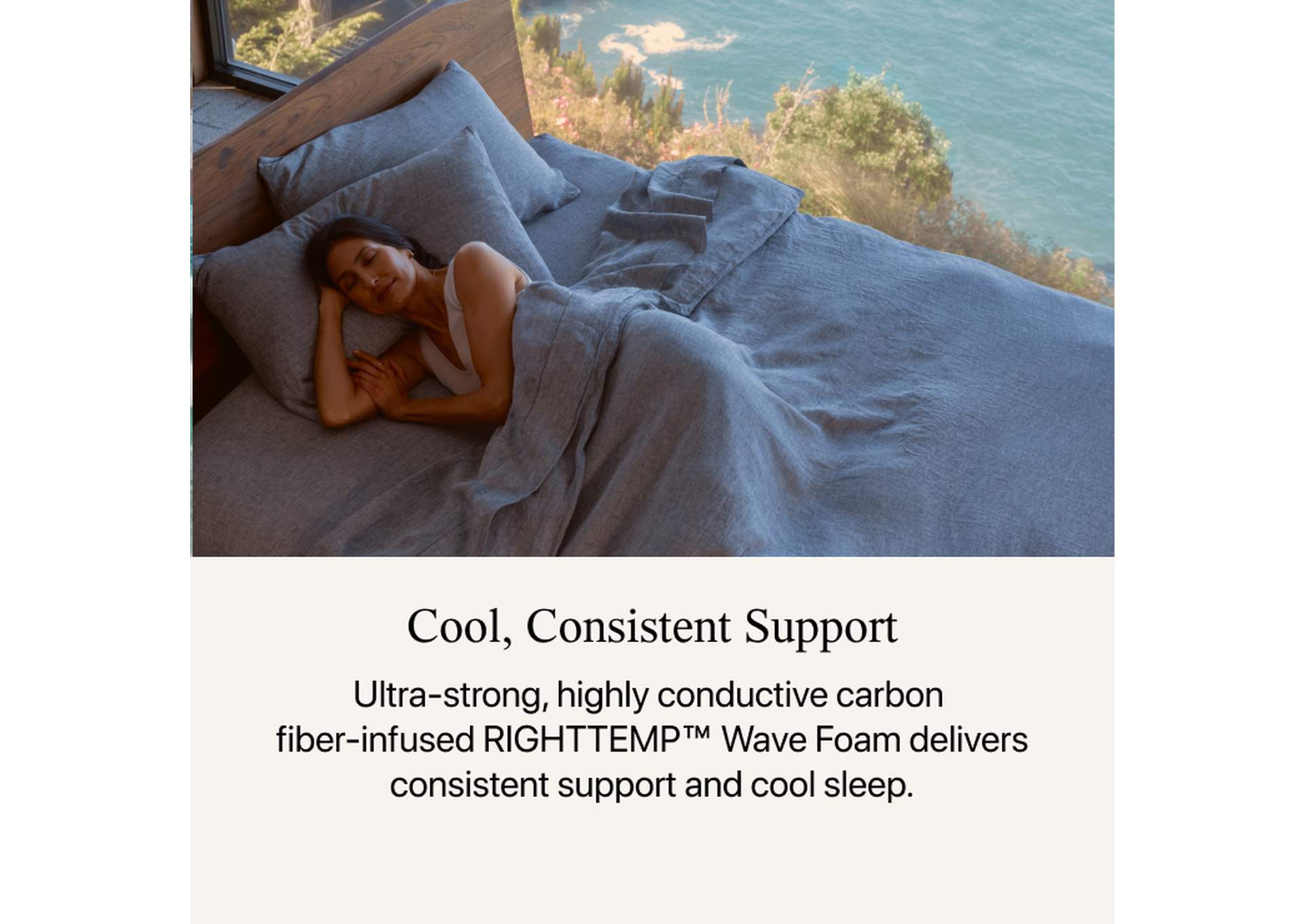 Carton Harmony Lux Coral Island 13.75