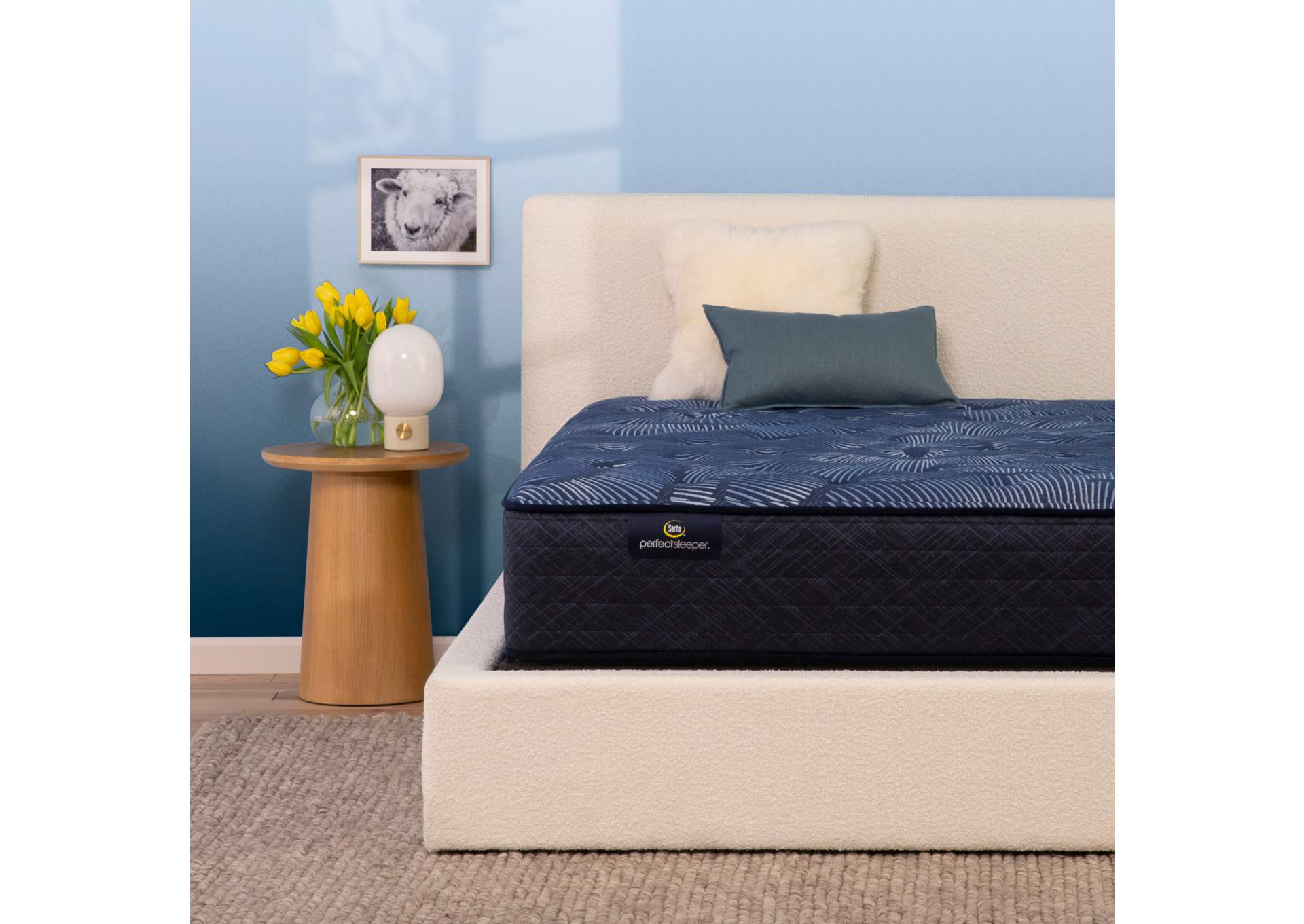 Perfect Sleeper Cameron 13.25