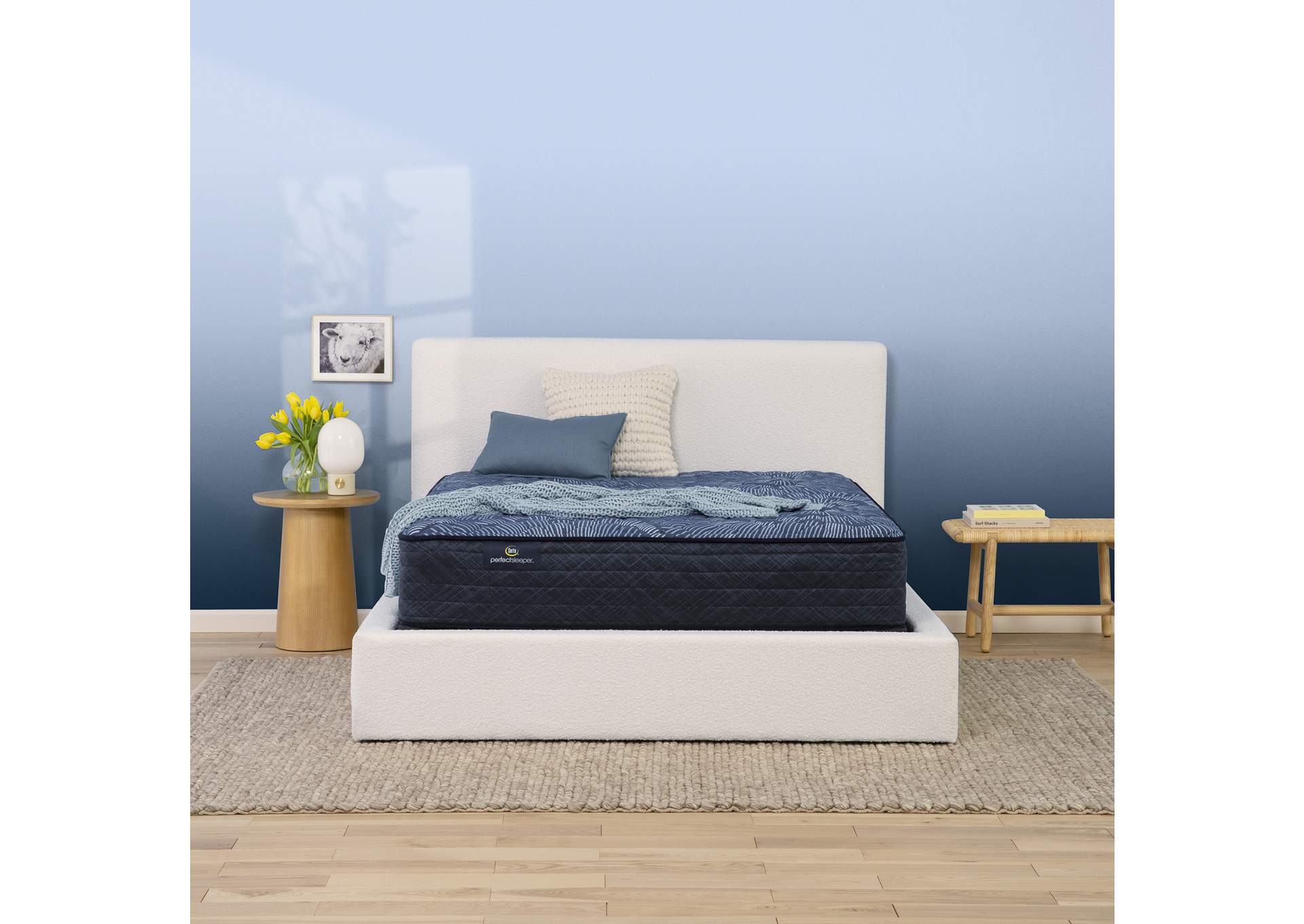 Perfect Sleeper Cobalt Calm 12" Extra Firm Mattress Low Profile Set-Full image 1
