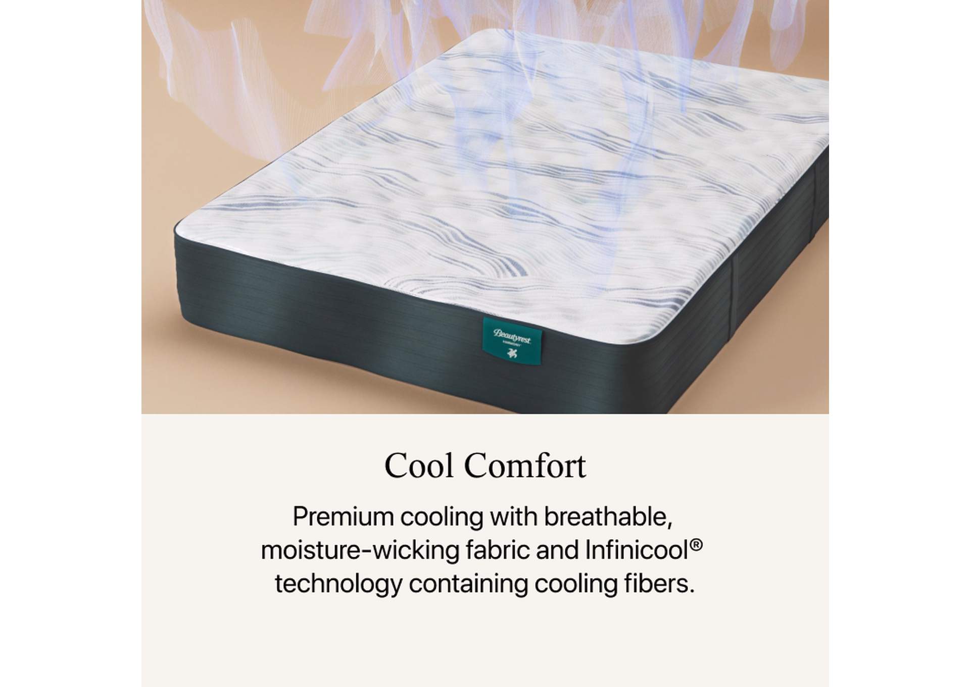 Carton Harmony Cypress Bay 13.25