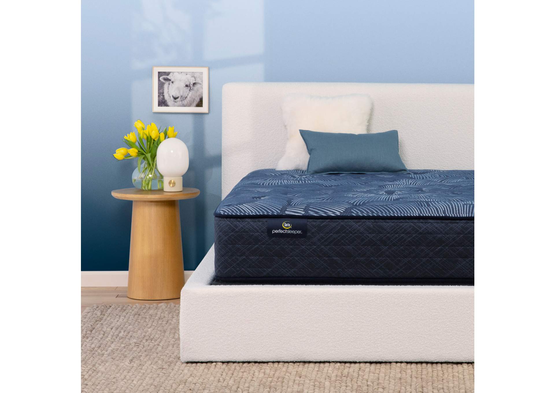 Perfect Sleeper Cameron 13.25