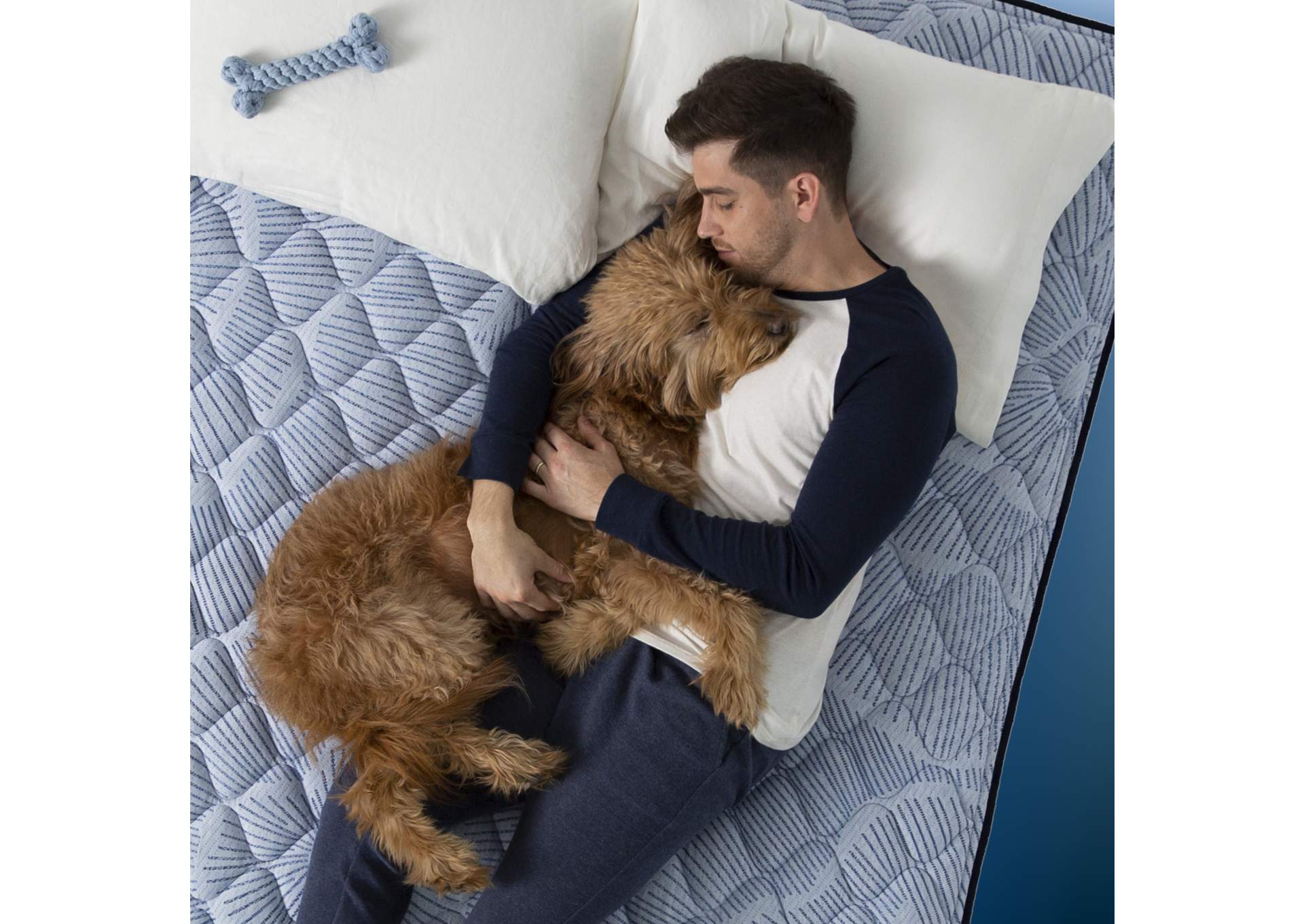 Perfect Sleeper Emi 14. 5 Inch Plush Pillow Top Mattress - California King image 9