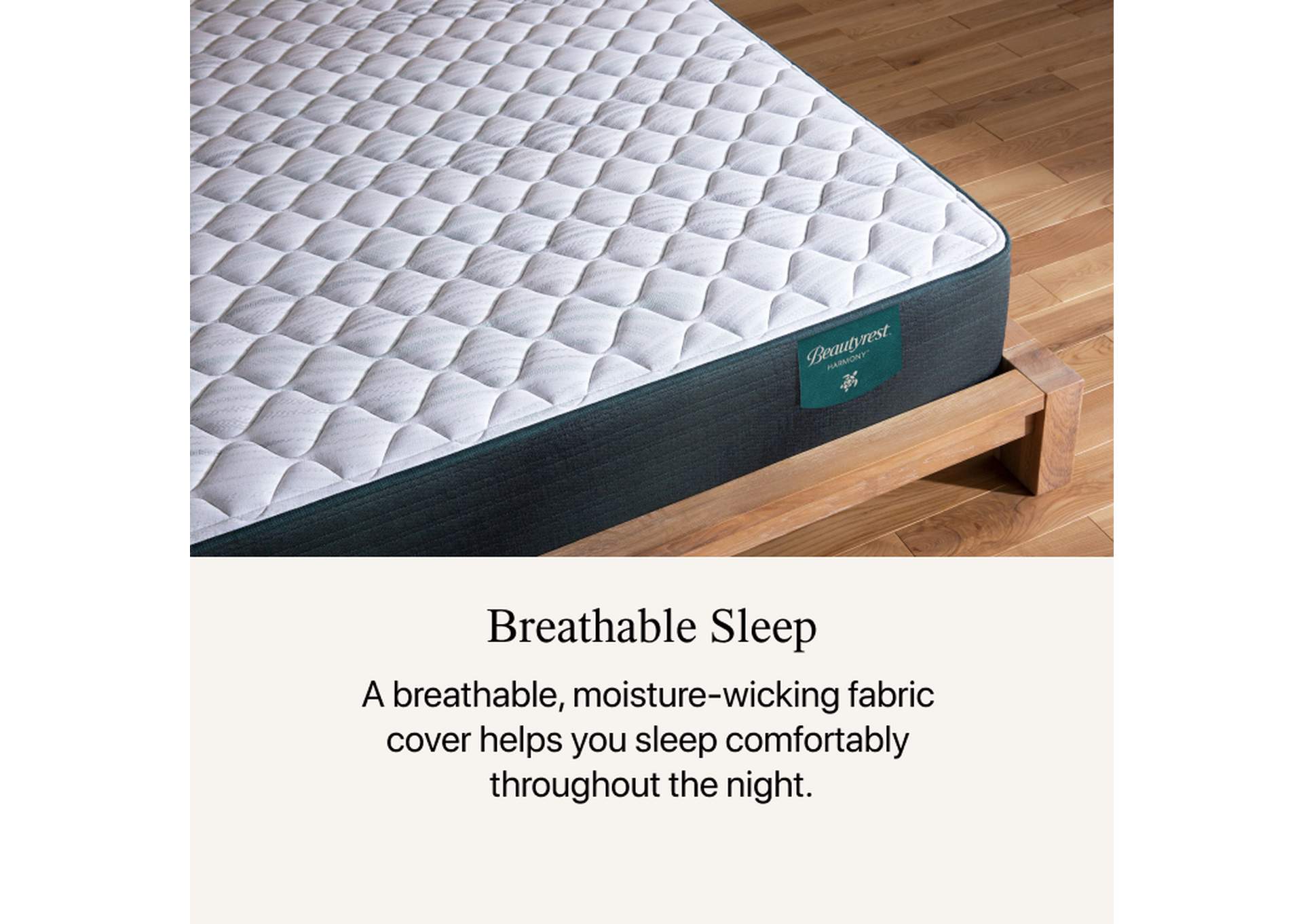 Harmony Beachfront Bay 12