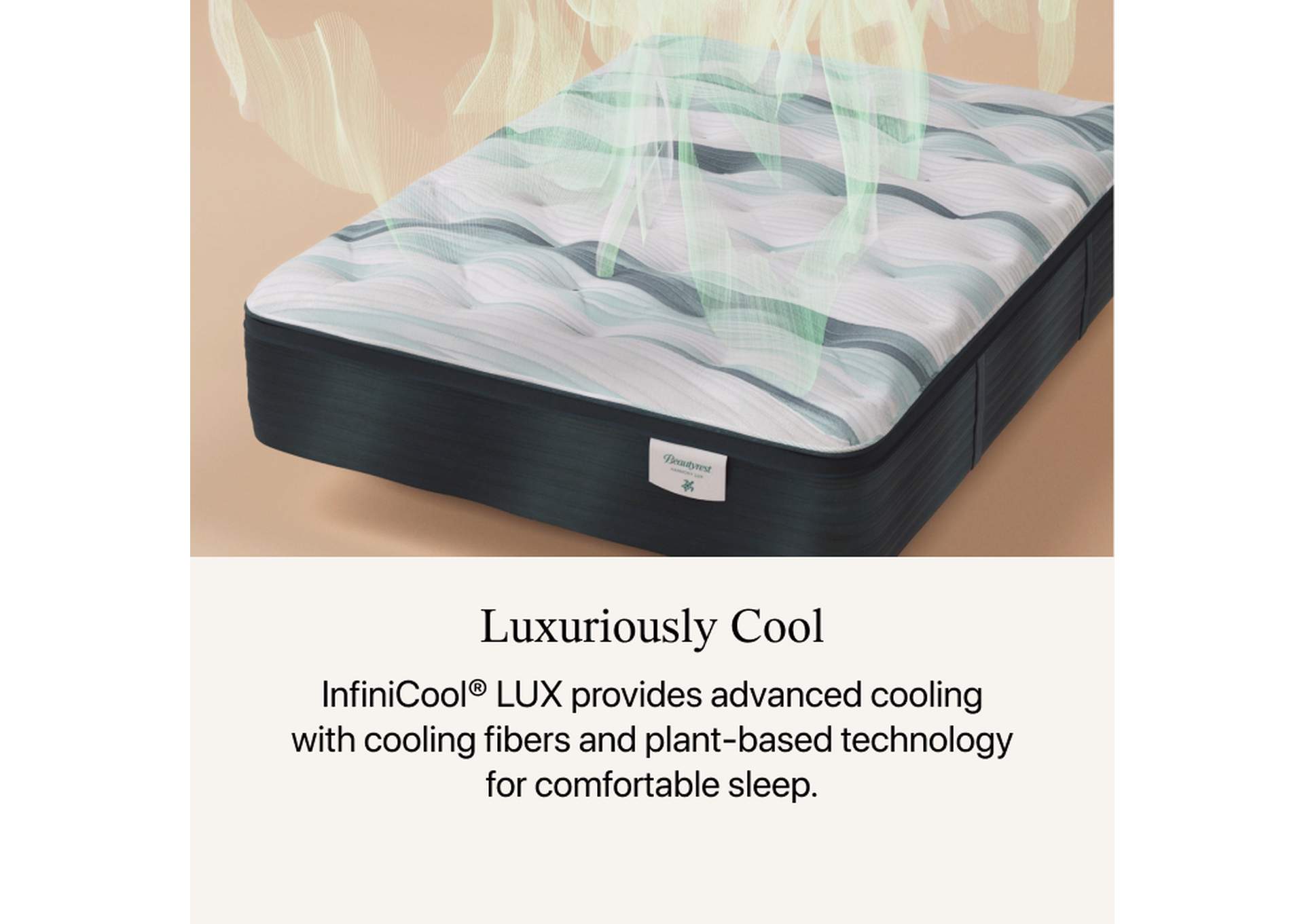 Harmony Lux Anchor Island 13. 5 Inch Plush Mattress Low Profile Set - Twin image 6