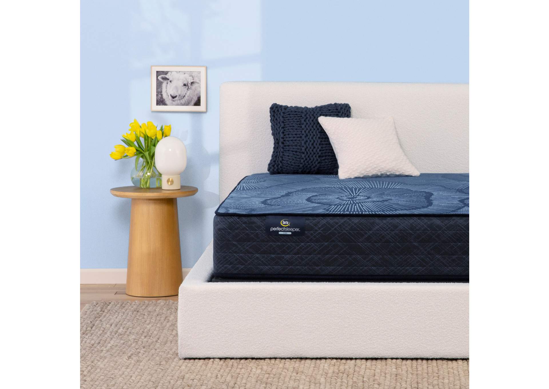 Perfect Sleeper Dazzling Night 12