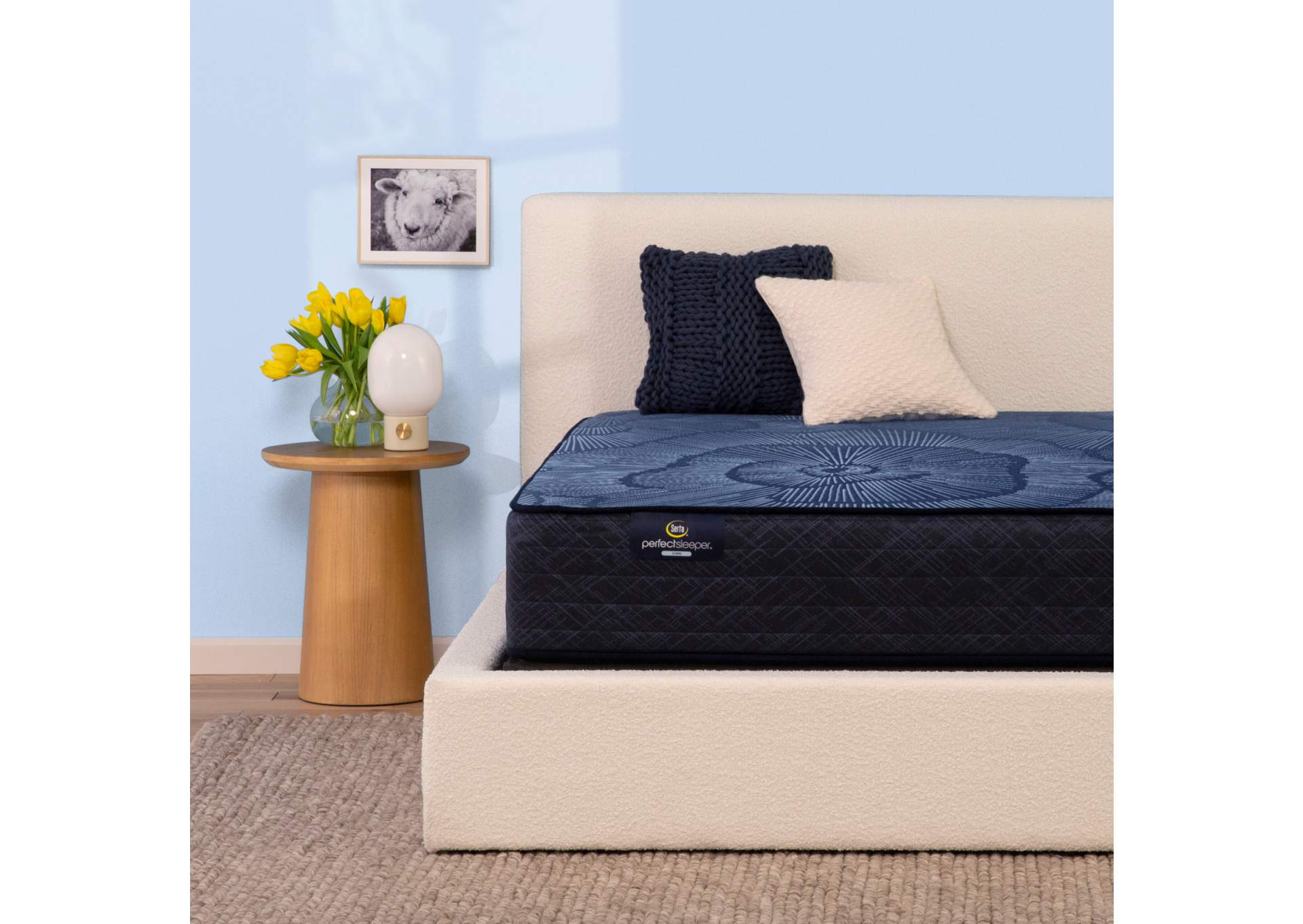 Perfect Sleeper Dazzling Night 12