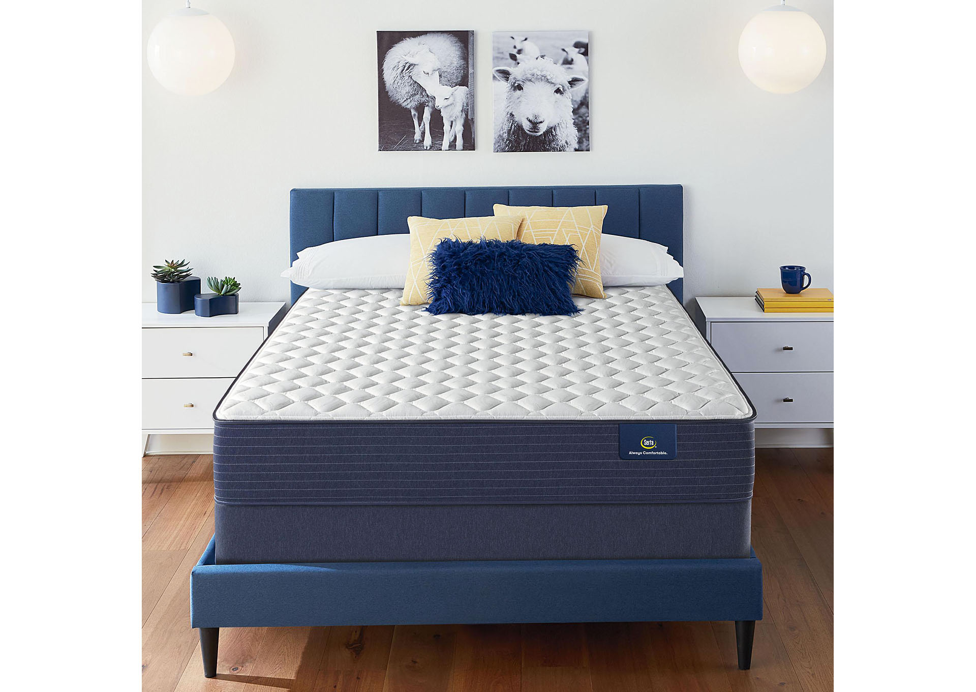 Clarks Hill 10. 5 Inch Firm Mattress Low Profile Set - Twin XL