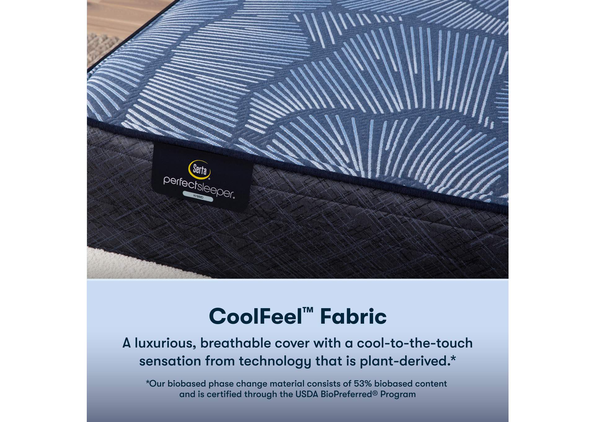 Perfect Sleeper Radiant Rest 14