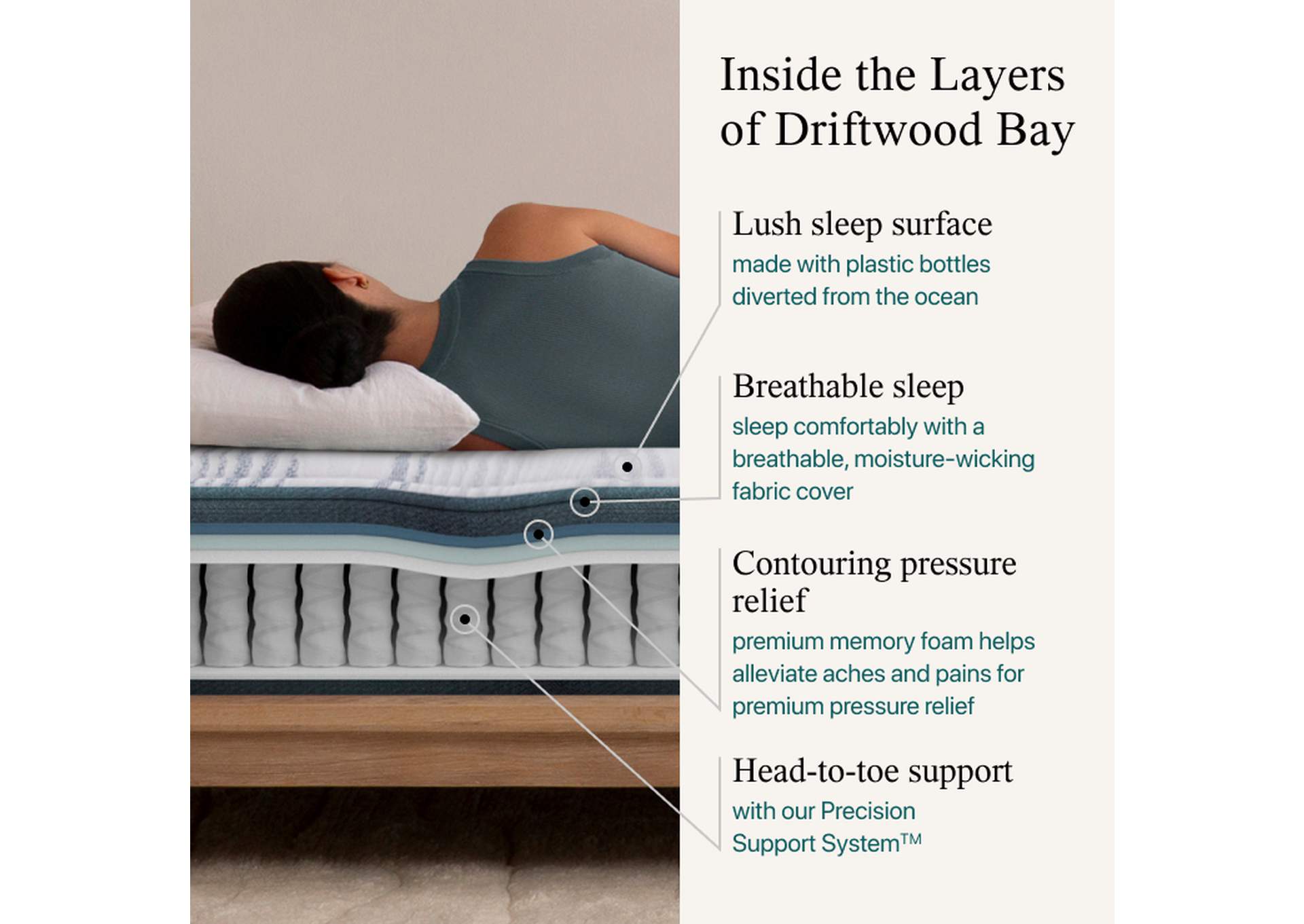 Harmony Hybrid Driftwood Bay 12