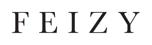 Feizy