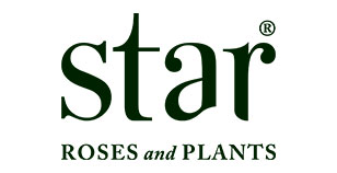 Star Roses and Plants