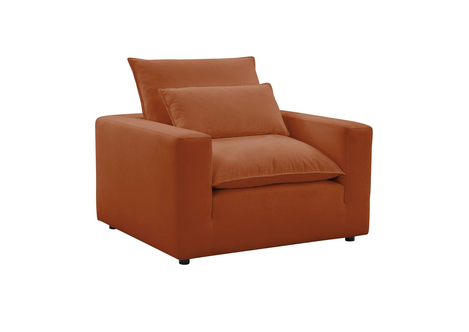 Cali Rust Performance Fabric Arm Chair image 1