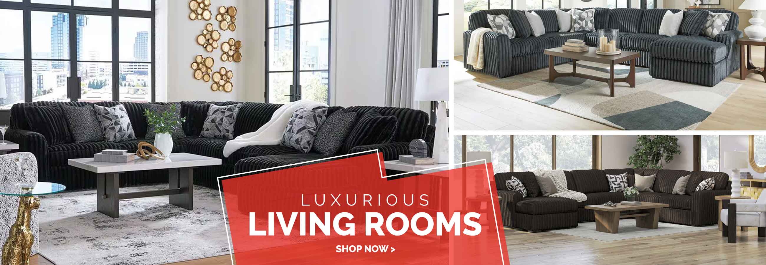 Shop Living Room