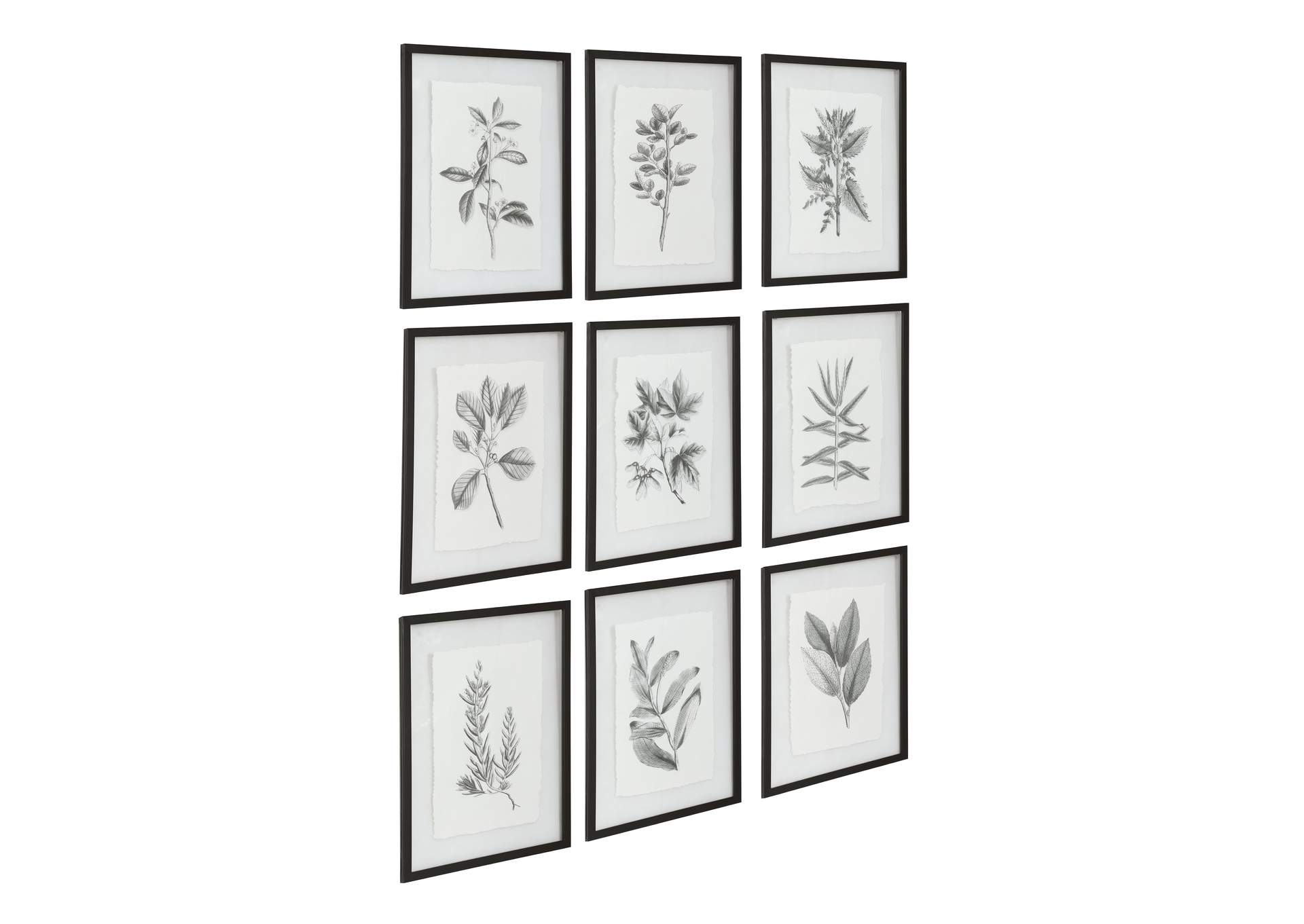 Uttermost Farmhouse Florals Framed Prints