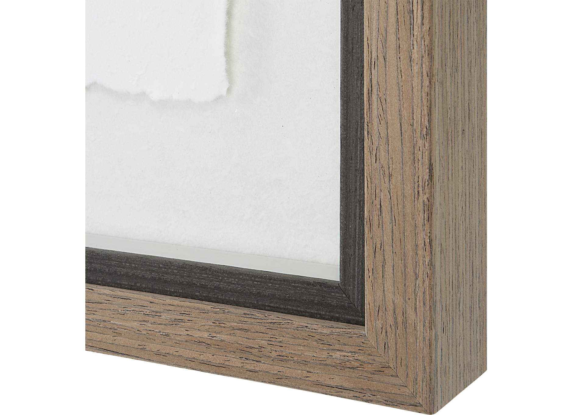 Uttermost Birds Of Feather Framed Prints