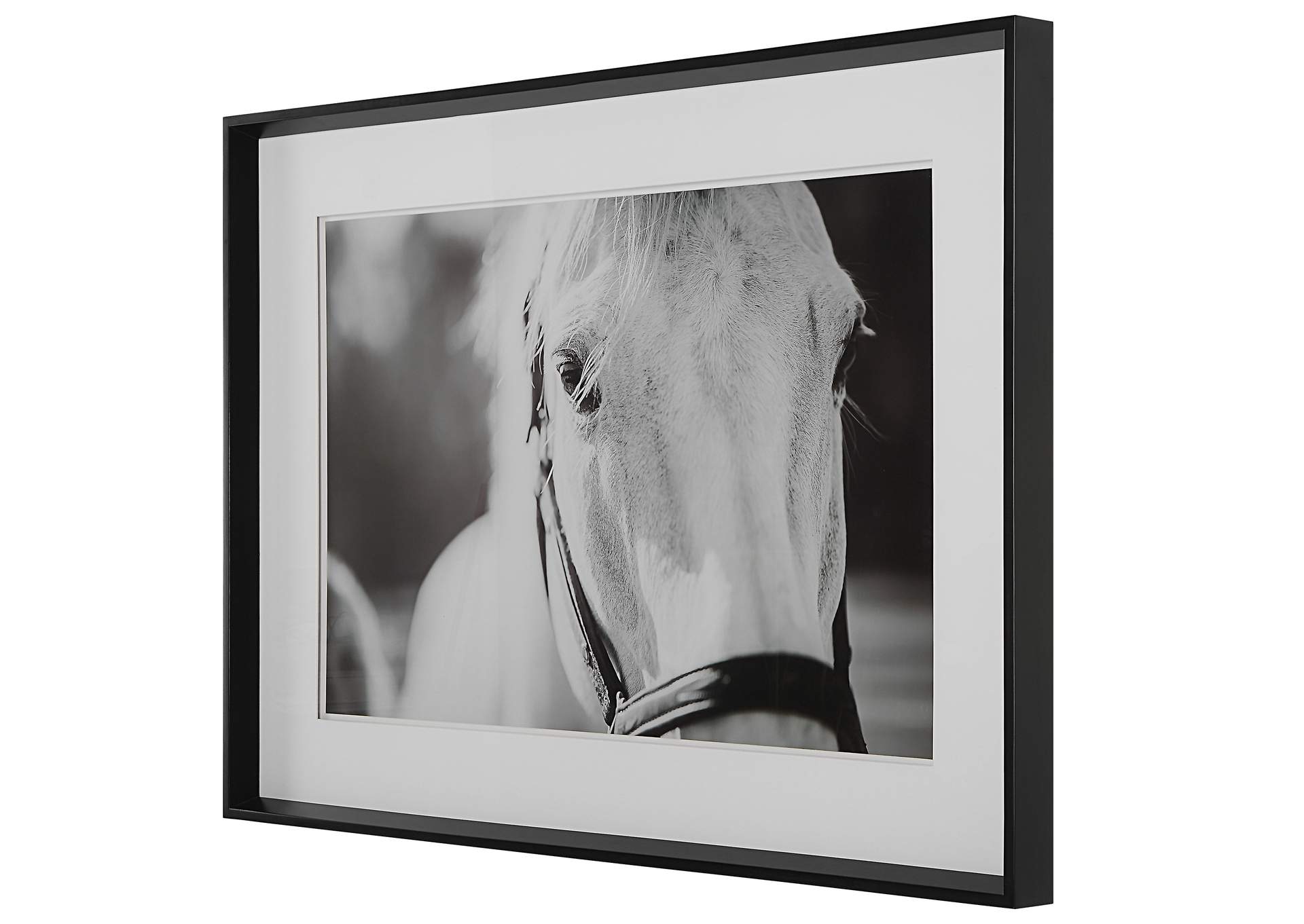 Uttermost Eyes On The Prize Framed Print