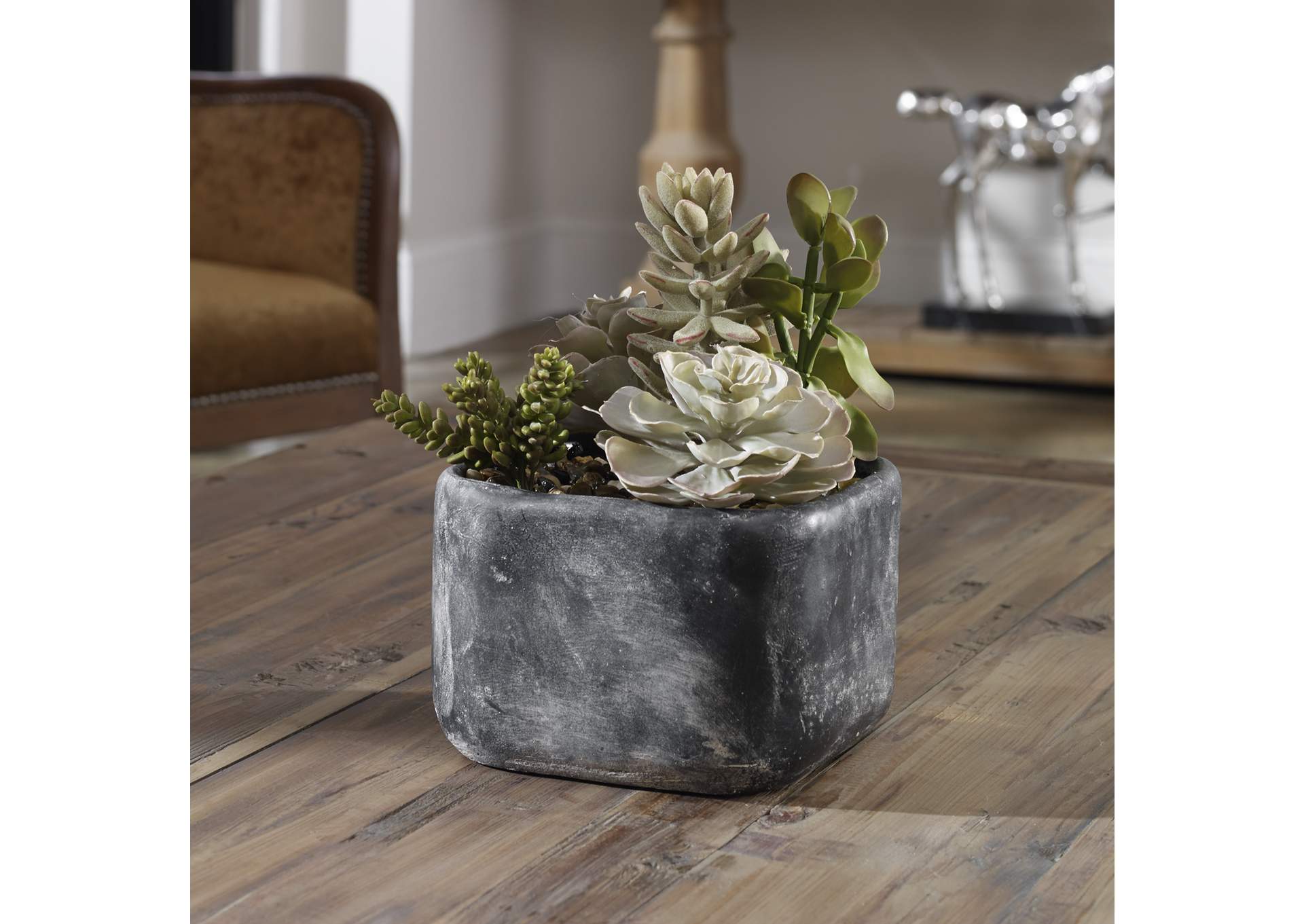 Uttermost Alverio Desert Garden Succulents