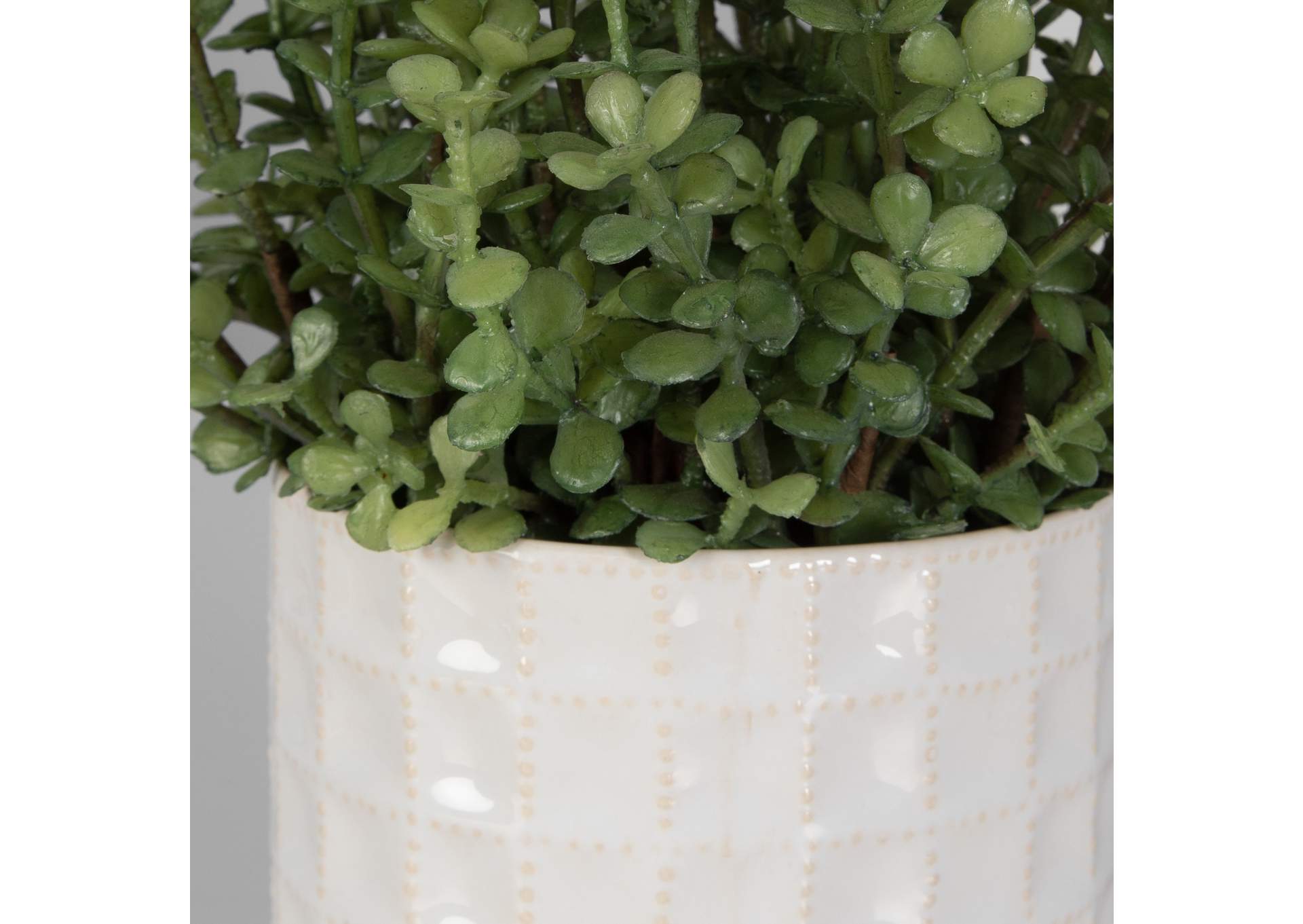 Uttermost Edgewood Greenery, Set