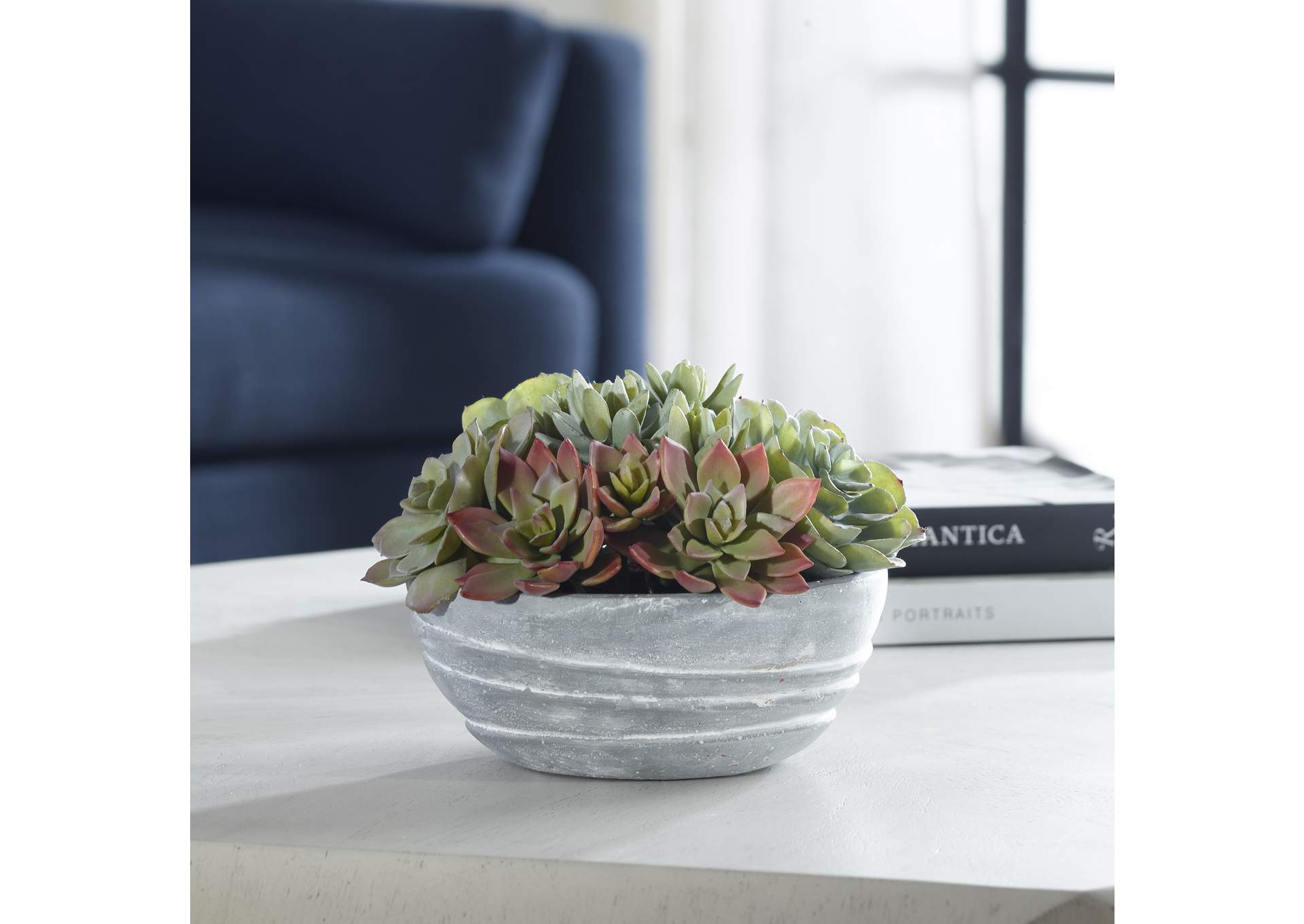 Uttermost Peoria Succulent Accent