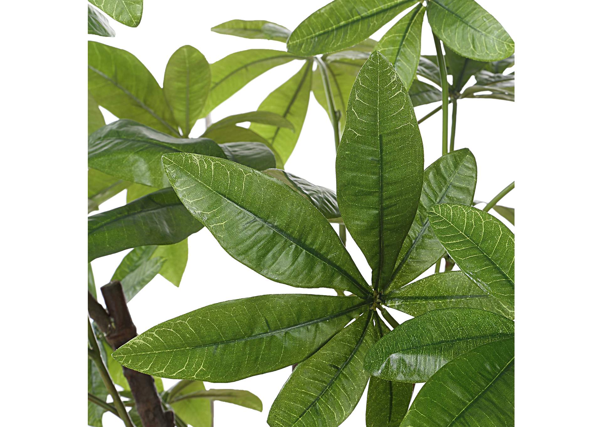 Uttermost Pachira Money Tree