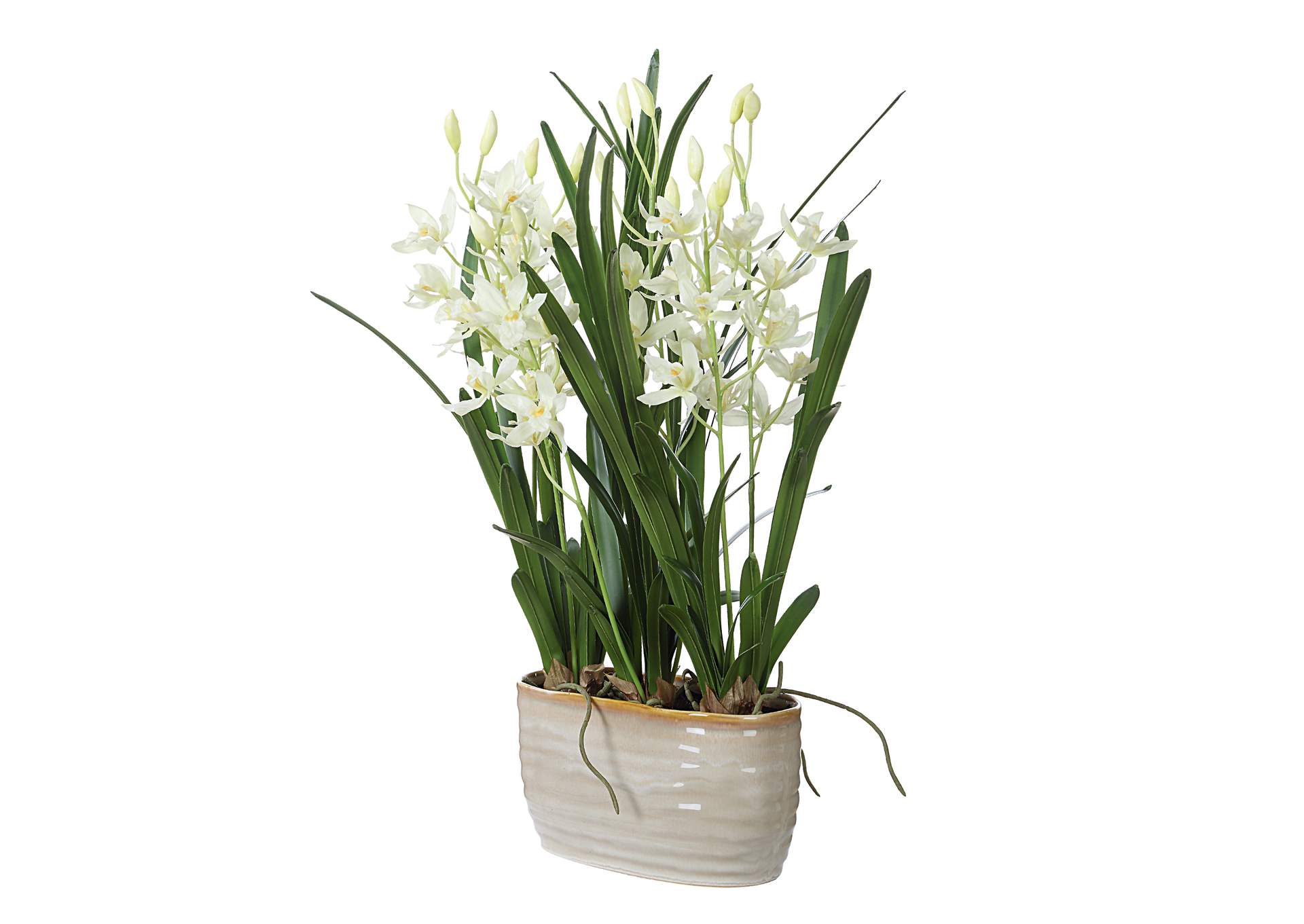 Uttermost Ariana Orchid Planter