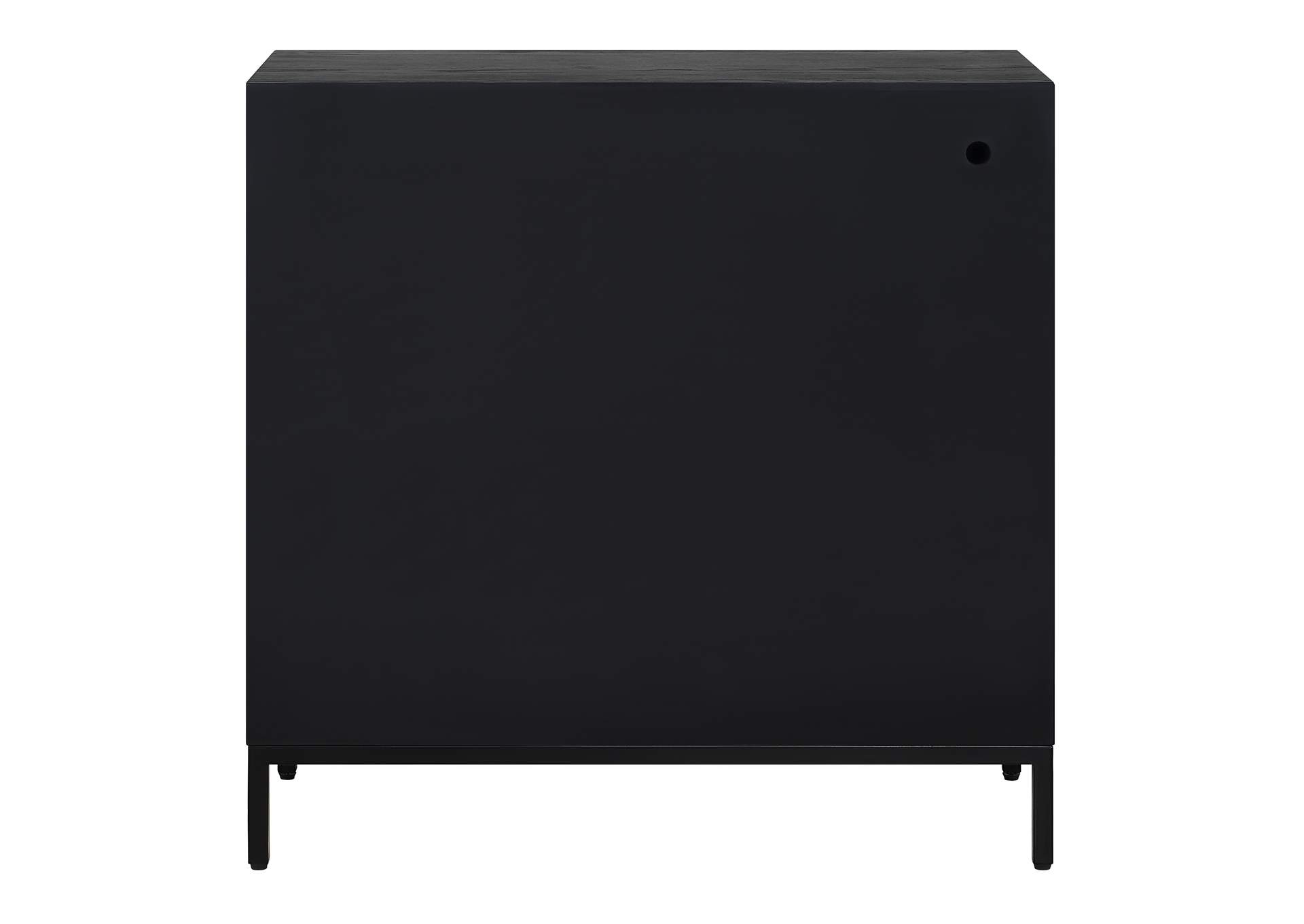 Uttermost Beswick Black Door Cabinet