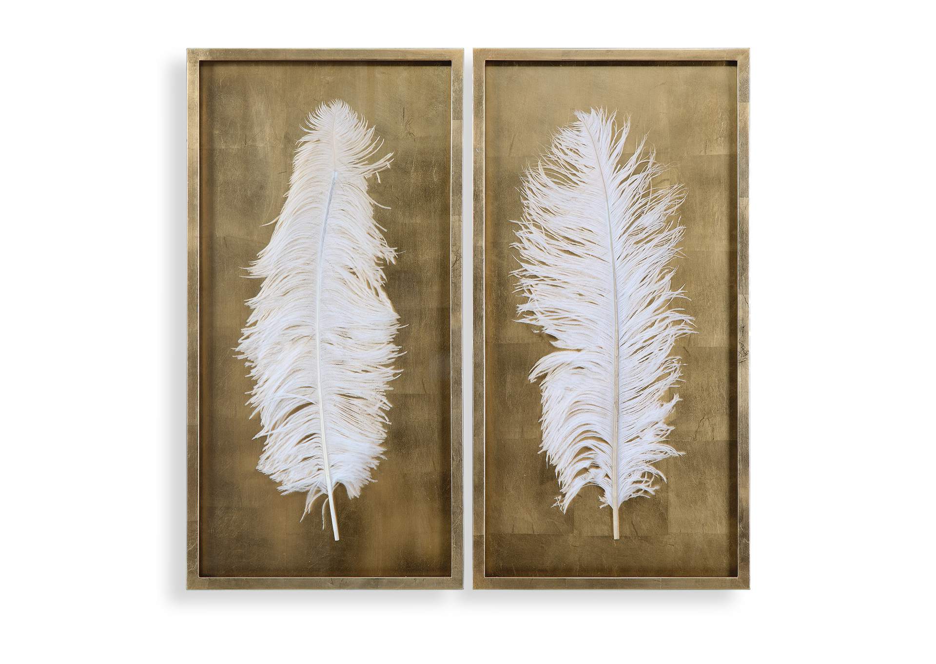 Uttermost White Feathers Gold Shadow Box