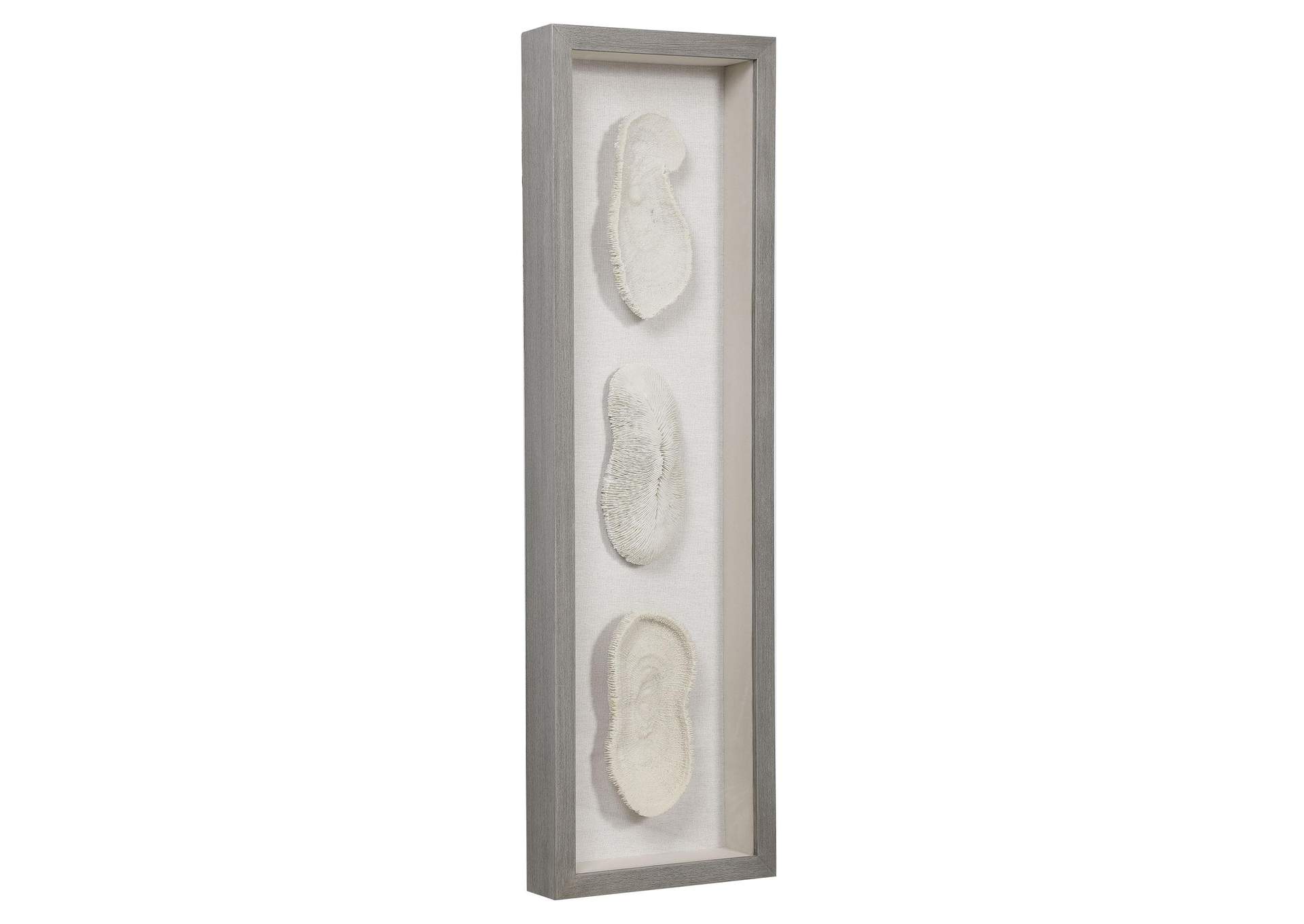 Uttermost White Coral Shadow Box