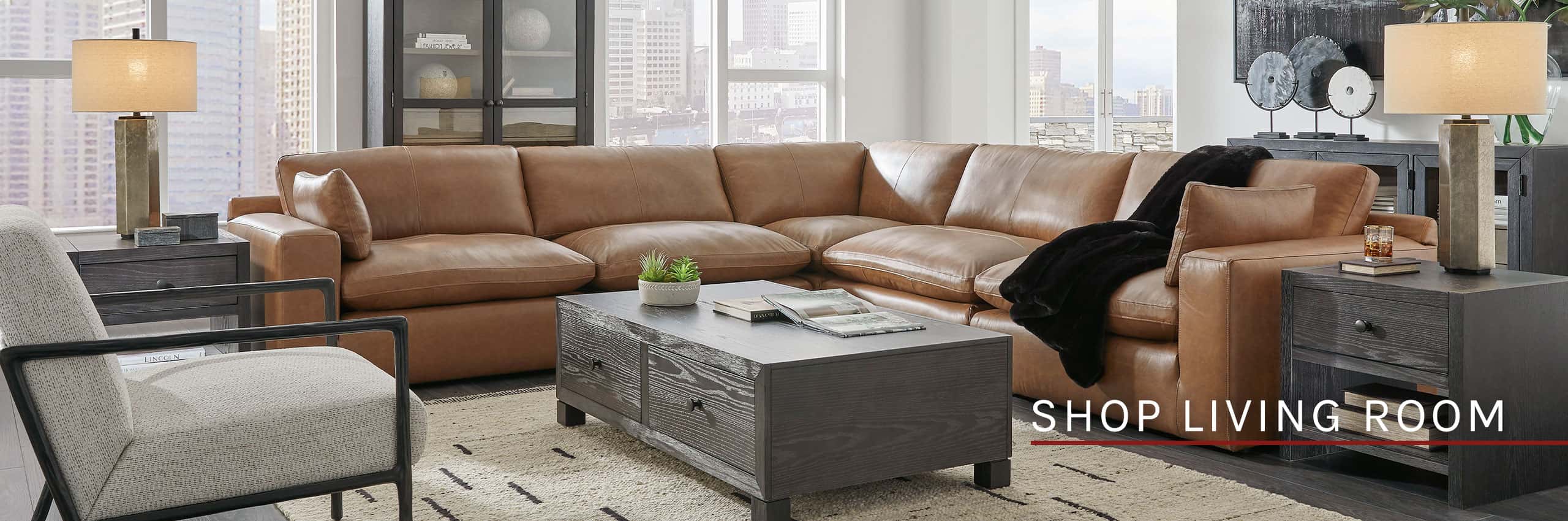 Shop Living Room