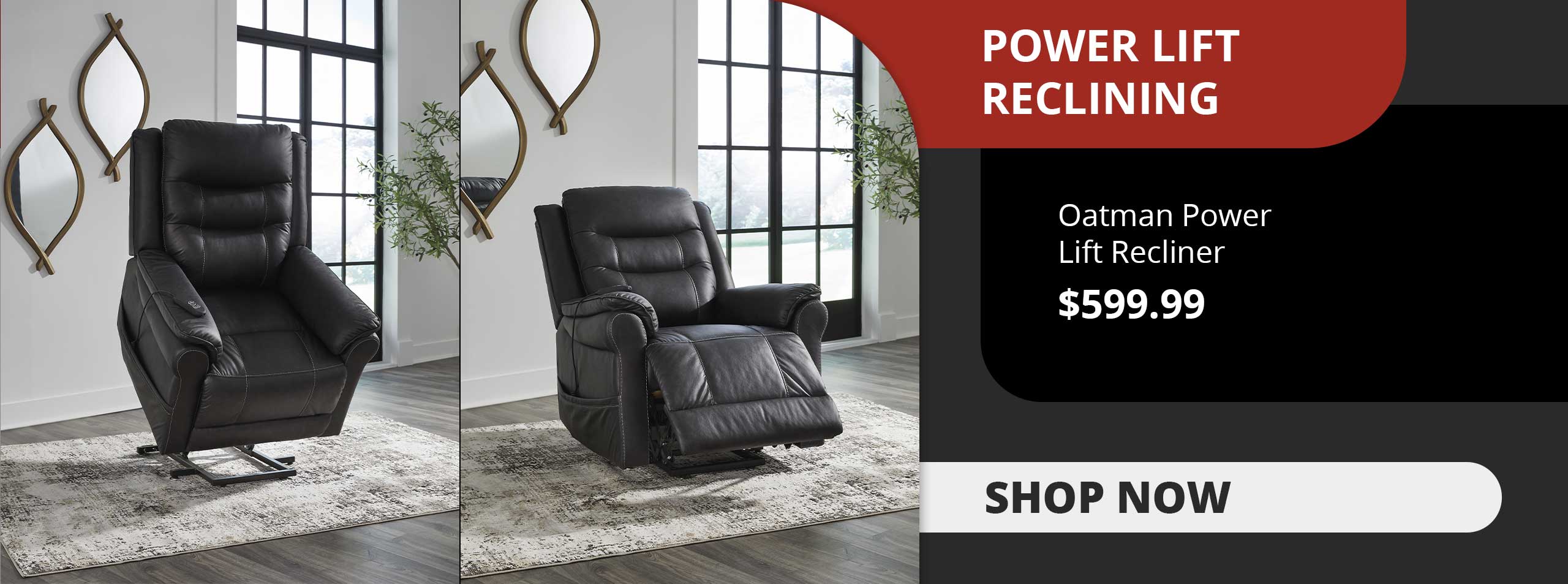Shop Power Lift Reclining