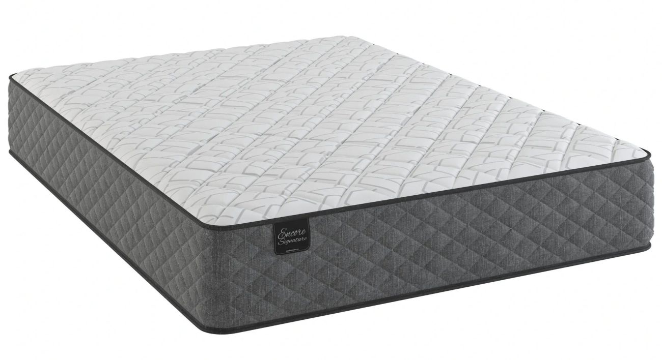 1446 Normandy Tight Top Queen Mattress Only image 1