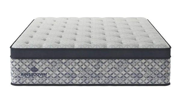 22090 Nuovo Plush ET Queen Mattress Only image 1