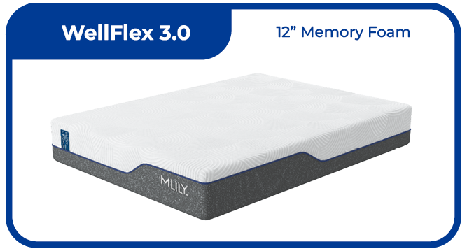 WellFlex 3.0 Plush CK image 1