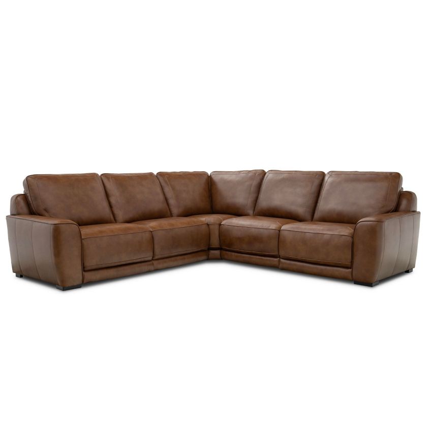 Image image 2
