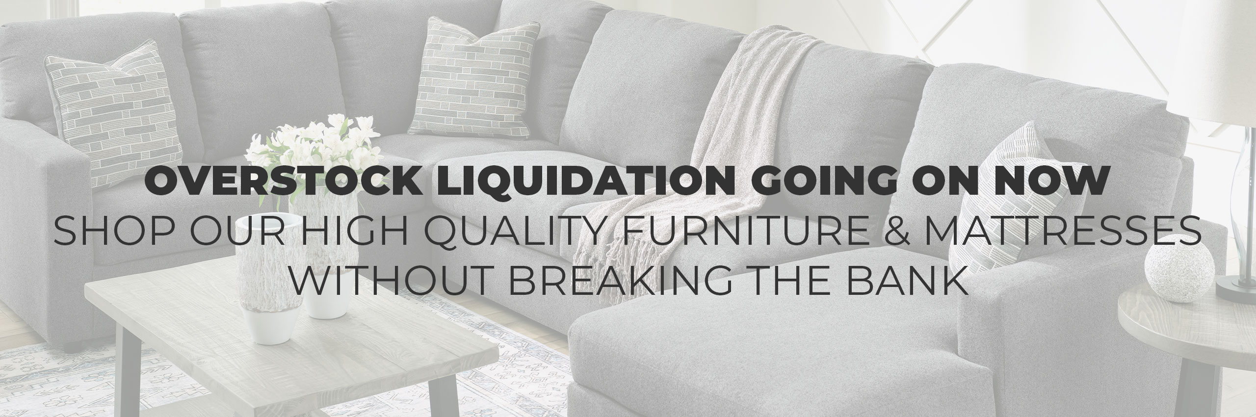 Overstock Liqudation Going On Now!