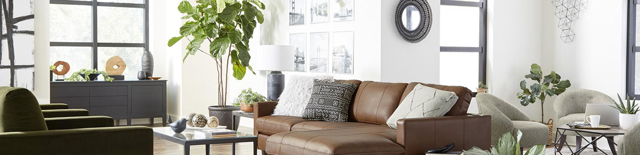 Furniture Financing
