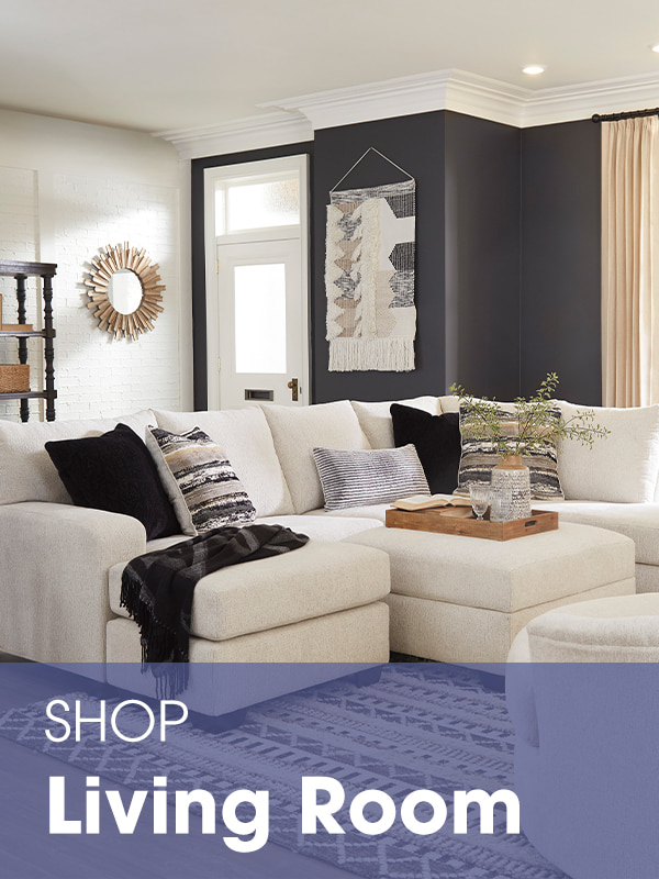 Shop Living Room